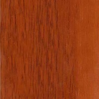 №117 итальянский орех