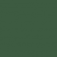 Dark green 1082 (möbius)