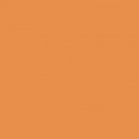 Orange 1071 (möbius)
