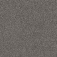 Канвас антрацит F635 ST10
