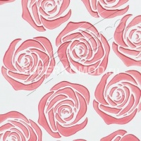 П06